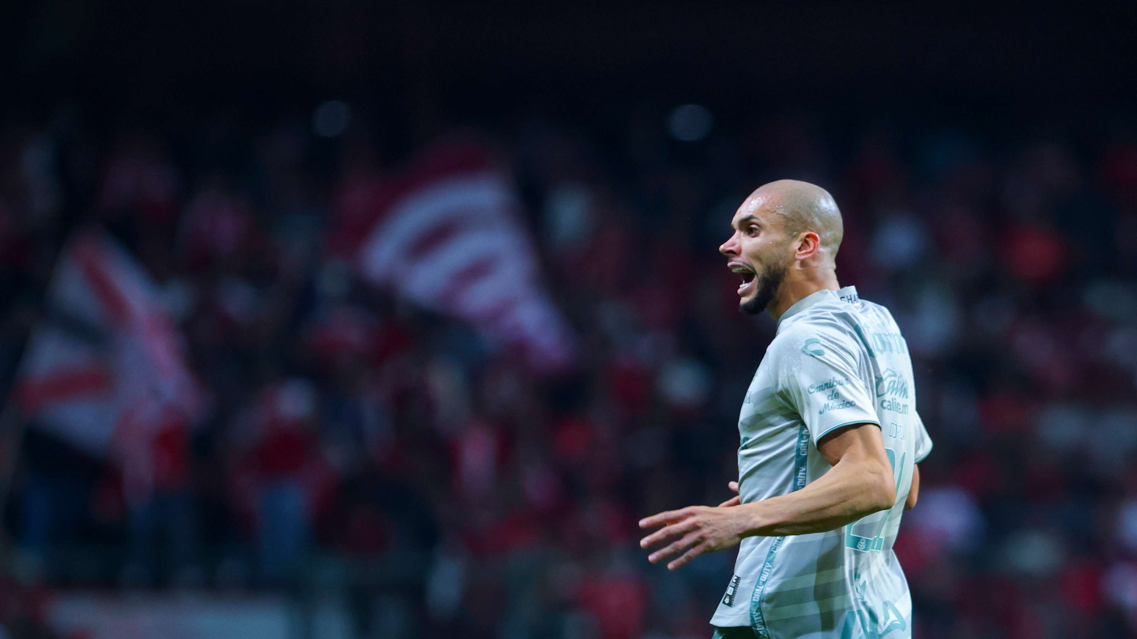 已经为这家 已经为这家